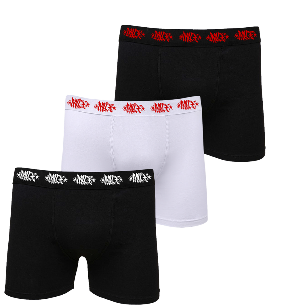 Pack 3 Cuecas